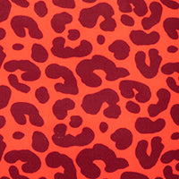 Amber Roar Allegra Kids